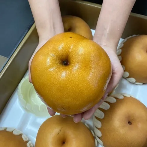 가성비 부산대마도배 추천 아이템